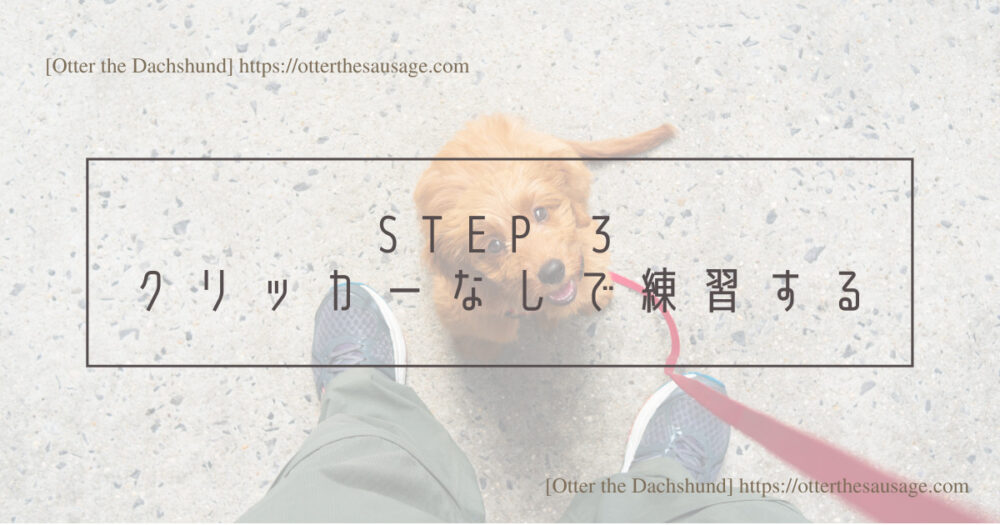 Blog Header image_犬と旅行_犬連れ旅行_dog training_clicker_ステップ３：クリッカーなしでも教えたことができるようにする